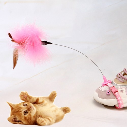 Pcs katzenbedarf baby - katzenbedarf,